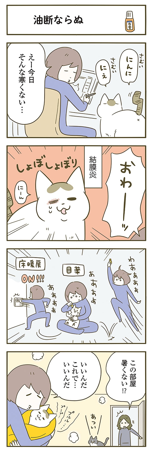 そんな寒くない