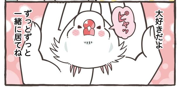 「トリ扱い説明書」より