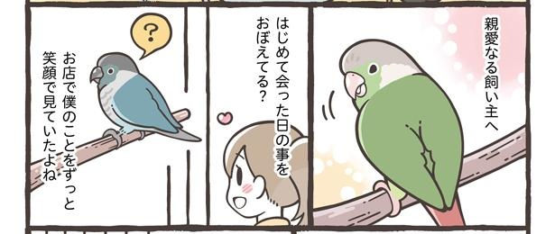 「飼い主への手紙」2/15