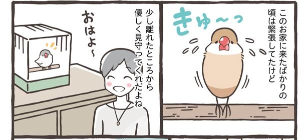「飼い主への手紙」4/15