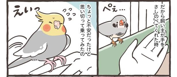 「飼い主への手紙」5/15