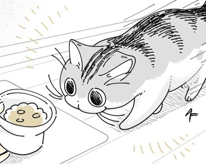 【ネコ漫画】大好きな飼い主とご飯を食べたい愛猫!?その様子に「かわいすぎる」「賢い」など共感の声続々