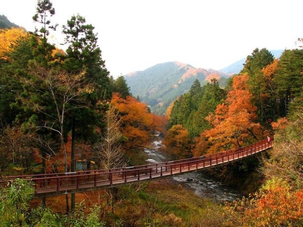 【画像】秋川にかかる吊橋からのパノラマは別格！