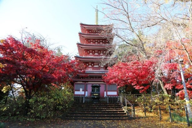 色鮮やかな紅葉が境内を彩る