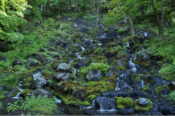 温泉が流れるたくさんの岩でできた滝には苔も多く、独特の雰囲気を作り出しています