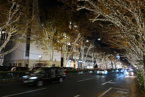 表参道の街並みとのコントラストも魅力