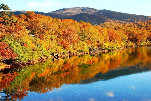 秋晴れの青空と紅葉が湖面に映える／須川高原