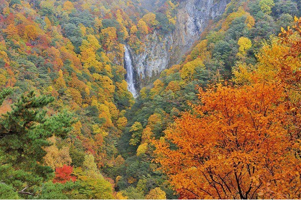 流れる滝が紅葉に趣きを添える／志賀高原