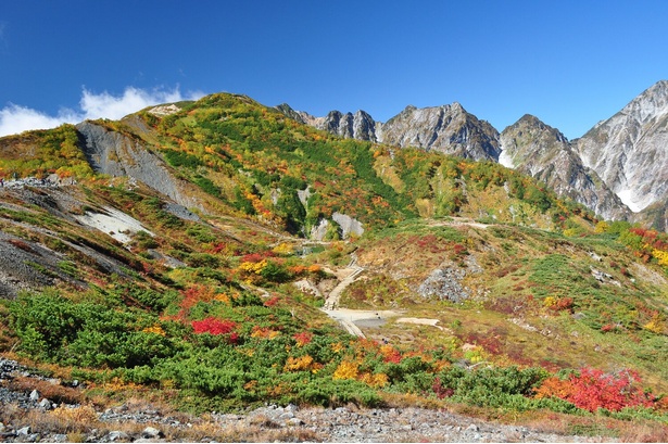 ハイキング客の目を色とりどりの紅葉が楽しませる／八方尾根