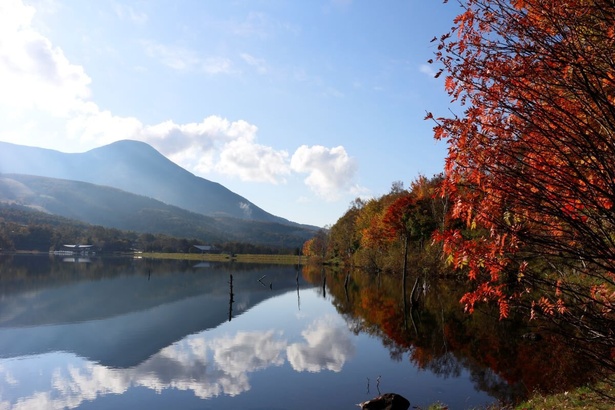 湖畔からはフォトジェニックな風景を眺められる／白樺高原(蓼科山)