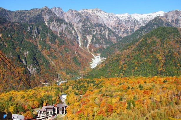 新穂高ロープウェイからの紅葉／新穂高温泉