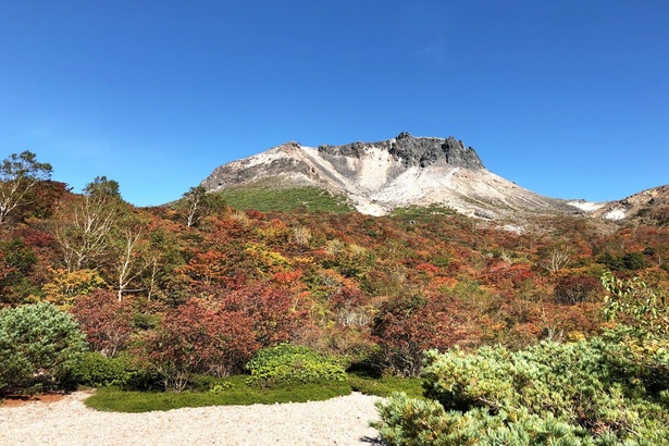 見頃を迎えそうな紅葉名所をピックアップ　※那須連山(茶臼岳)の紅葉