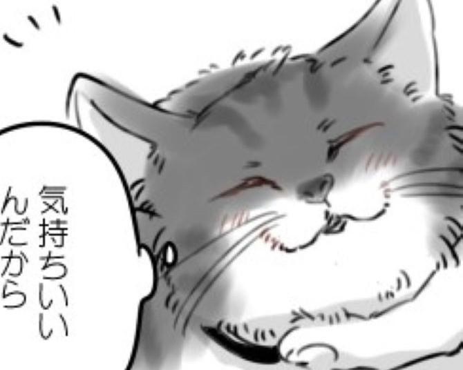 【ネコ漫画】保護猫が飼い主に懐くまで「もっと撫でていいのに」警戒からトロ甘になる猫の表情に注目【作者に聞く】