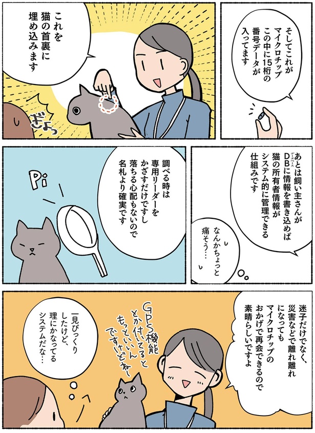 猫の首裏に埋め込みます （C）オキエイコ／KADOKAWA