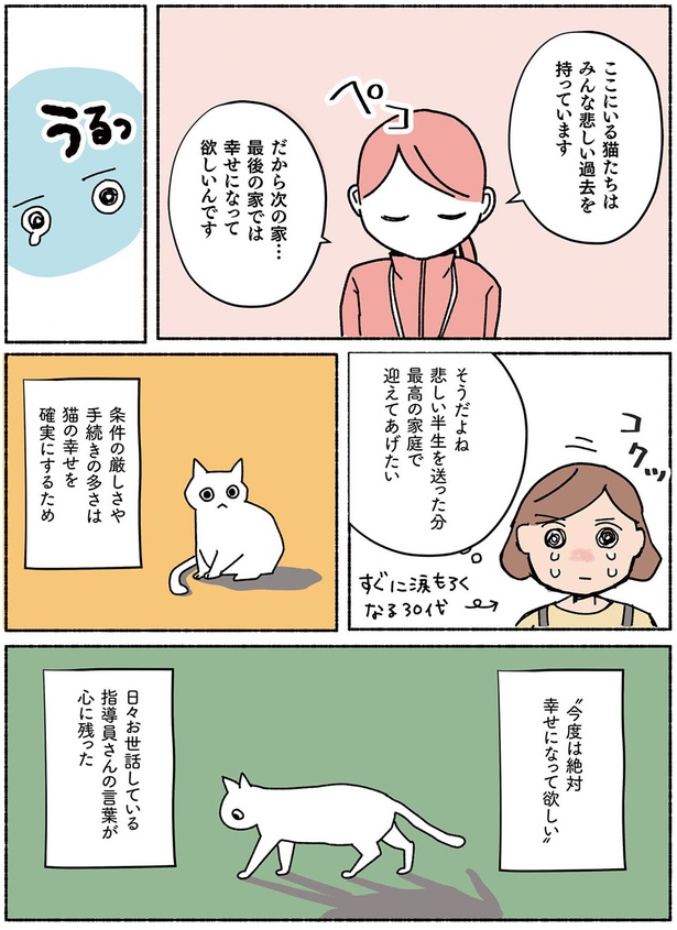 悲しい半生を送った分最高の家庭で迎えてあげたい