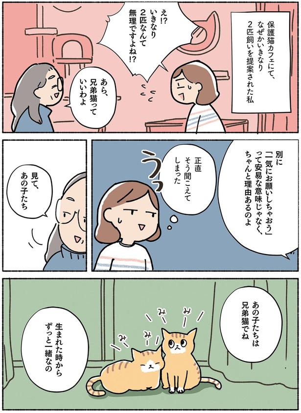 兄弟猫っていいわよ （C）オキエイコ／KADOKAWA