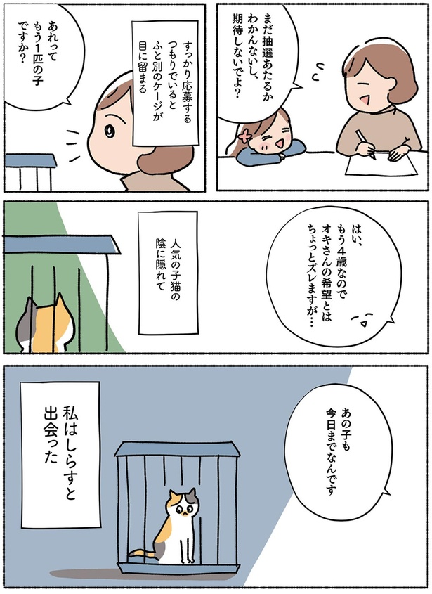 私はしらすと出会った