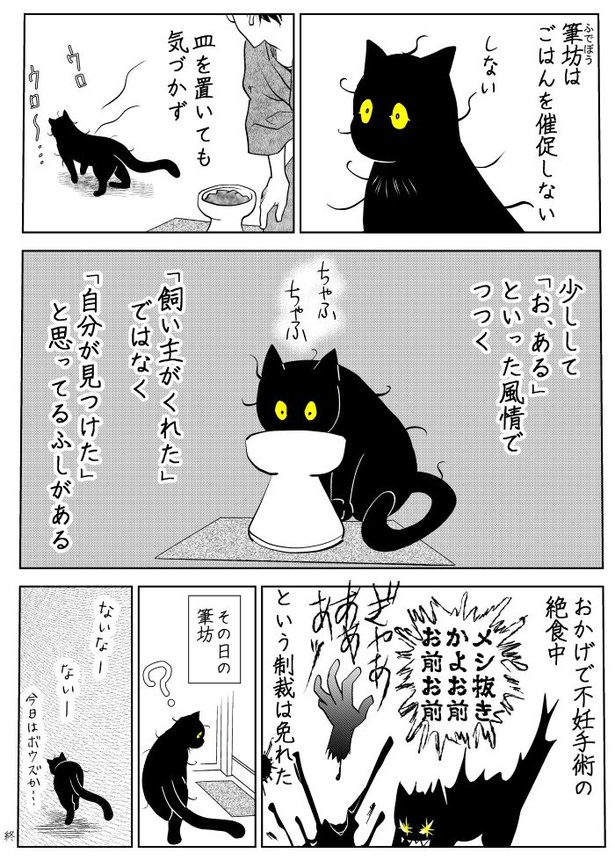 うちの猫は様子がおかしい05 画像提供：筆坊日記(@720yushin)