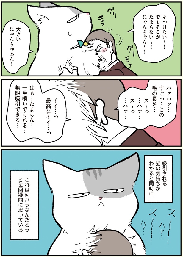 猫の気持ちがわかると同時に （C）清水めりぃ／KADOKAWA