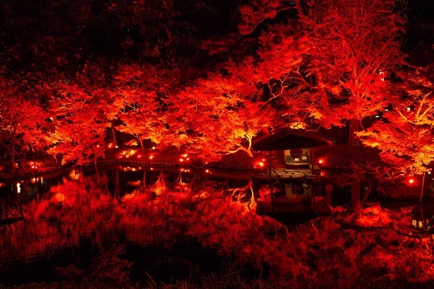 過去に同イベントでライトアップされた八芳園の日本庭園の様子