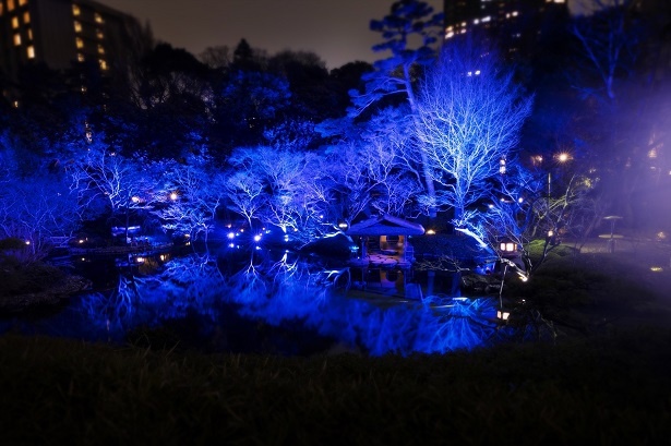 『TOKYO BLUE GARDEN』の過去開催時の様子