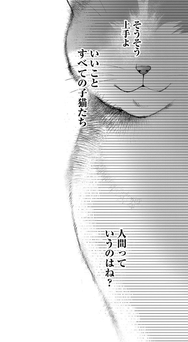 すべての子猫たち