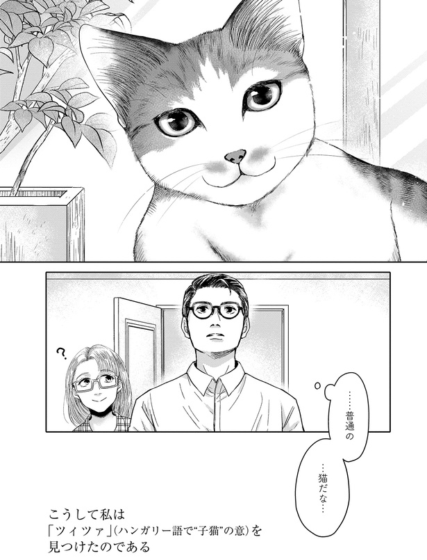 普通の…猫だな… （C）沙嶋カタナ、ポール・ギャリコ／KADOKAWA