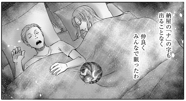 猫が自分の家を手に入れるまで