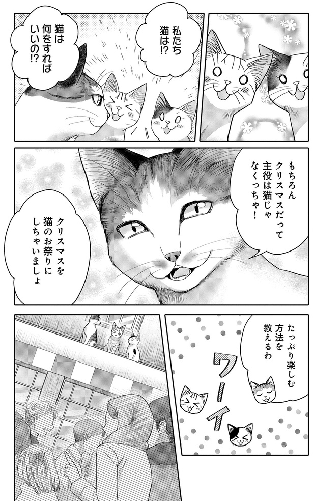 猫は何をすればいいの！？