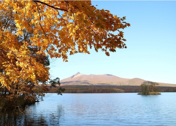 西大島から望む大沼湖、紅葉と湖の絶景が広がる／大沼公園(散策路、大沼湖畔)の紅葉