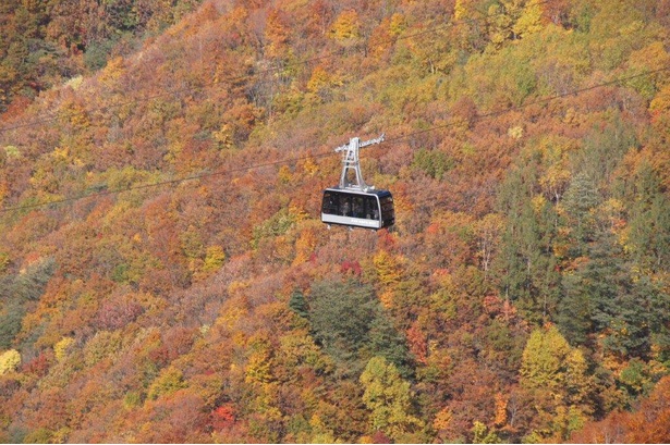 赤いじゅうたんのように広がる紅葉する森林を一望できる／蔵王温泉の紅葉