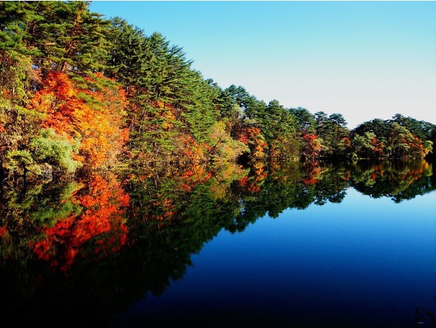 秋の柳沼では美しい水面と紅葉が楽しめる／五色沼湖沼群の紅葉