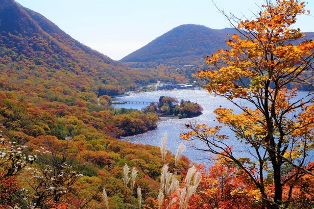 紅葉が湖畔から山頂まで覆いつくす／赤城山の紅葉