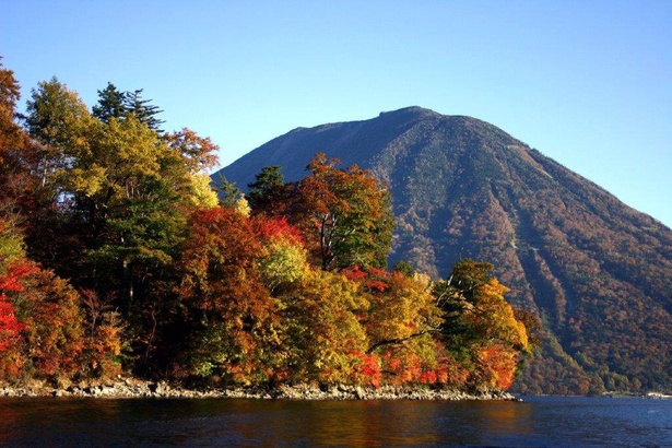 雄大な男体山を背景に、紅葉した木々が美しく林立する／日光(中禅寺湖湖畔)の紅葉