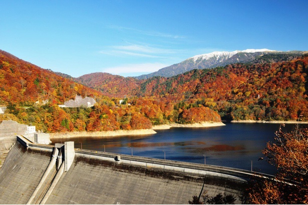 有峰湖を囲む紅葉と冠雪する薬師岳／有峰森林文化村(有峰森林文化公園)の紅葉