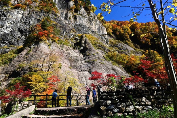 ふくべの大滝は林道開設によって日の目を見た幻の滝とも言われる／白山白川郷ホワイトロードの紅葉