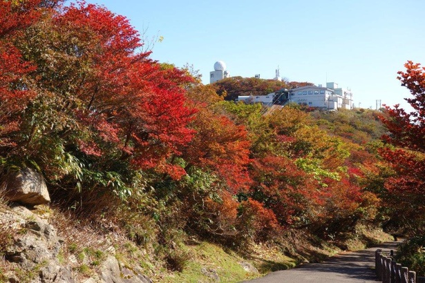 頂上にある見晴台や展望台から紅葉を眺めることができる／御在所岳(山上)の紅葉