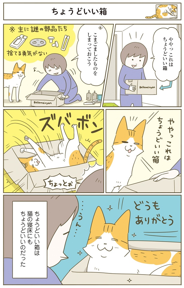 ちょうどいい箱は猫にもちょうどいい （C）卵山玉子／KADOKAWA