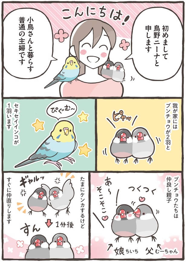 小鳥さんと暮らす普通の主婦です （C）鳥野 ニーナ、寄崎 まりを／KADOKAWA