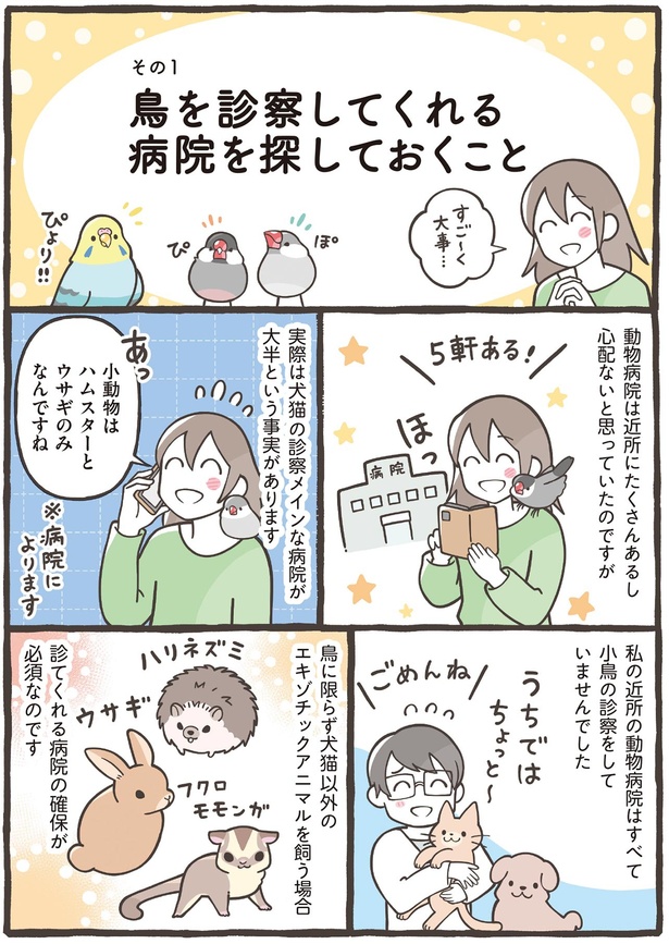 鳥を診察してくれる病院を探しておくこと