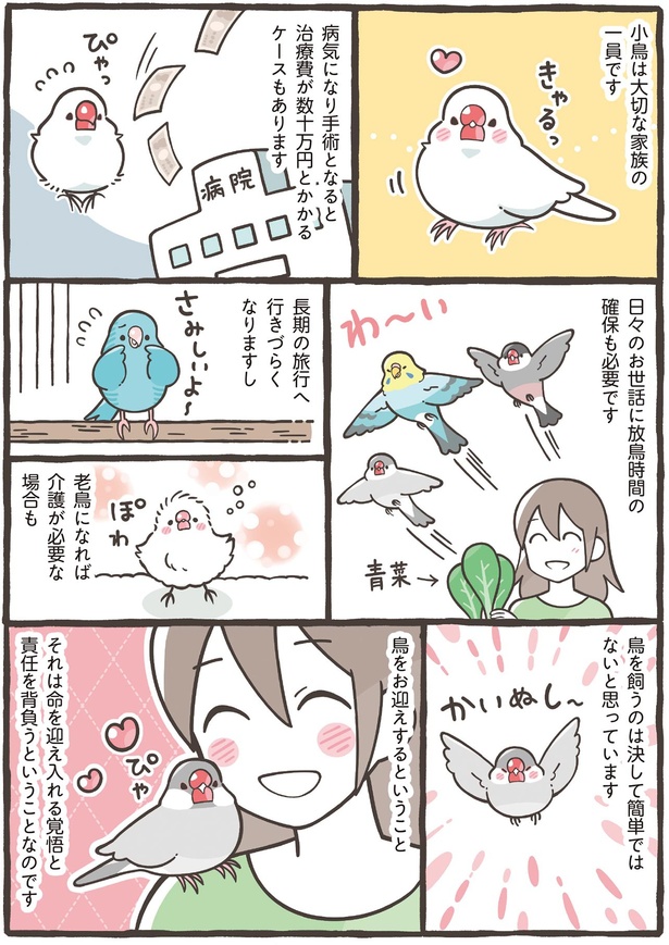 鳥を飼うのは決して簡単なことではないと思っています