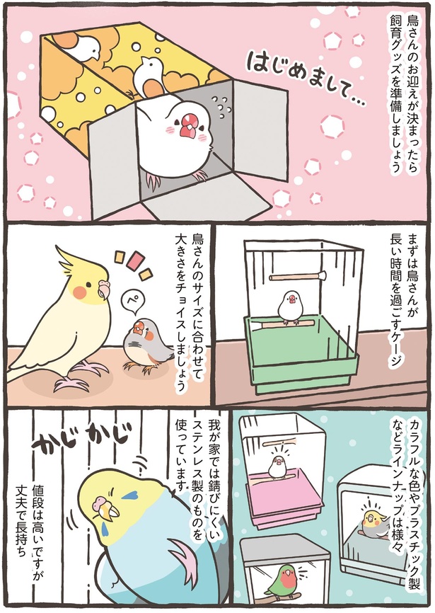 飼育グッズを準備しましょう （C）鳥野 ニーナ、寄崎 まりを／KADOKAWA