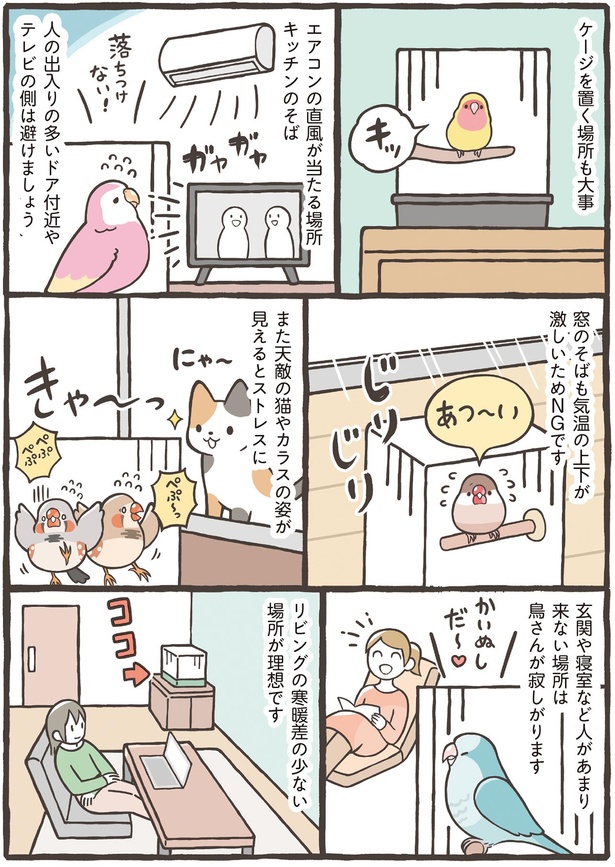 ケージを置く場所も大事 （C）鳥野 ニーナ、寄崎 まりを／KADOKAWA