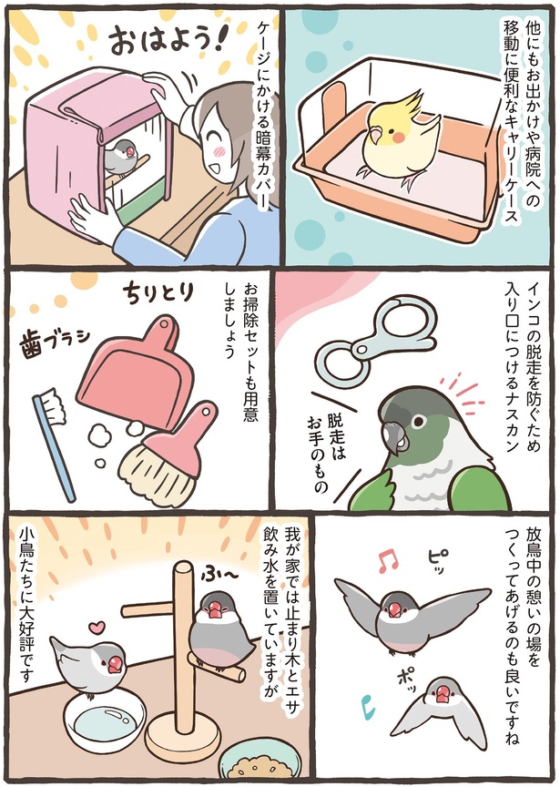 放鳥中の憩いの場を作ってあげるのも良いですね （C）鳥野 ニーナ、寄崎 まりを／KADOKAWA