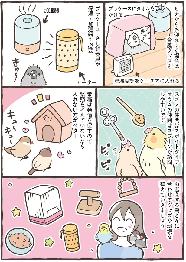 雛からお迎えする場合は育雛グッズも （C）鳥野 ニーナ、寄崎 まりを／KADOKAWA