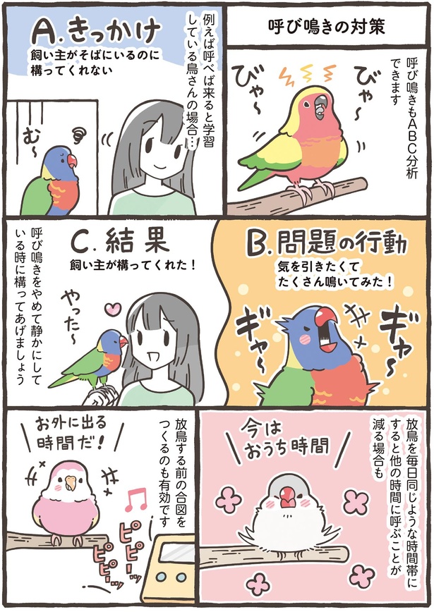 呼べば来ると学習している鳥さんの場合…