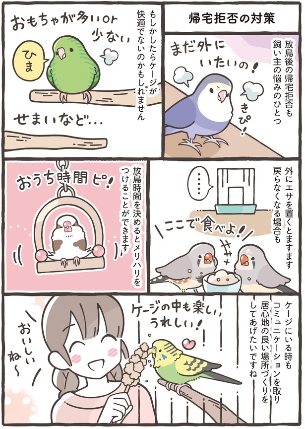 ケージが快適でないのかもしれません