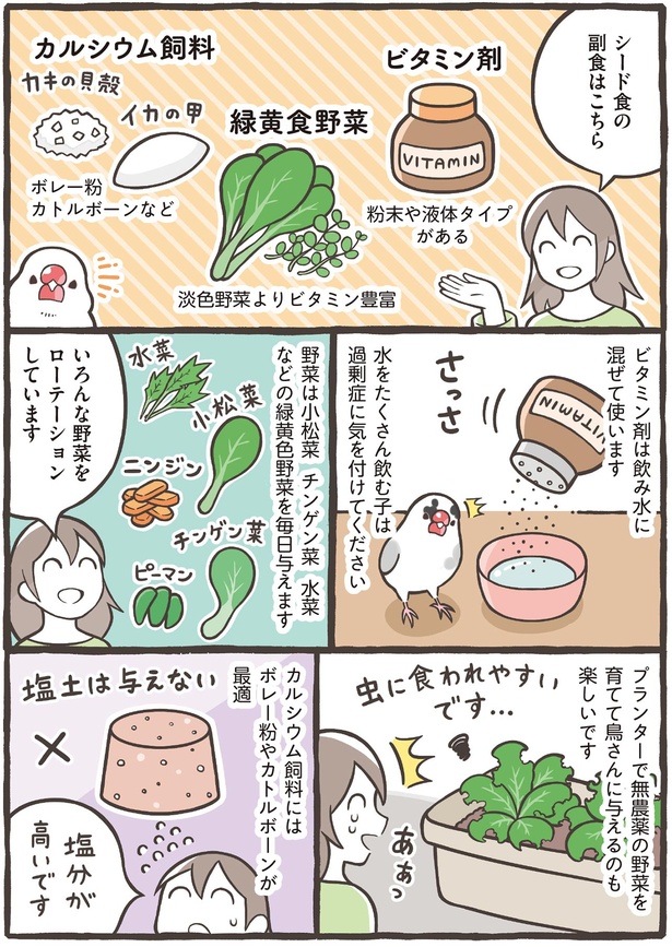 いろんな野菜をローテーションしています