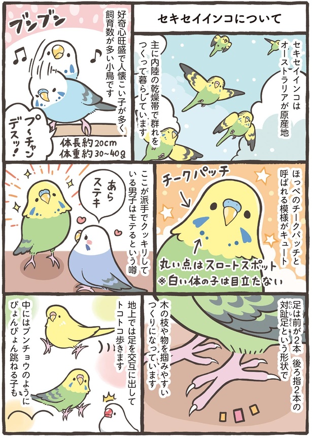 ほっぺのチークパッチと呼ばれる模様がキュート （C）鳥野 ニーナ、寄崎 まりを／KADOKAWA