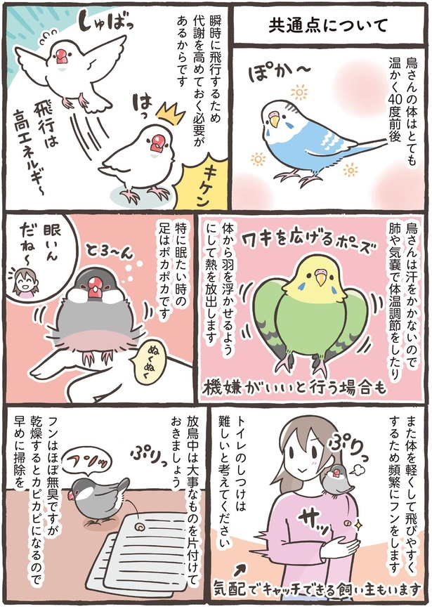 トイレのしつけは難しいと考えてください （C）鳥野 ニーナ、寄崎 まりを／KADOKAWA